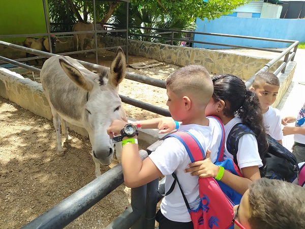 Metro de Valencia llevó un día de alegría y diversión a los hijos de sus trabajadores 